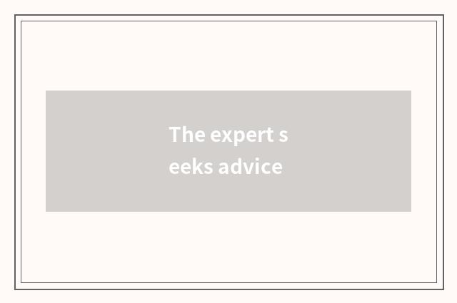 The expert seeks advice