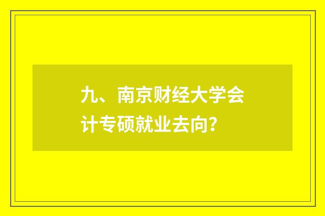 九、南京财经大学会计专硕就业去向?