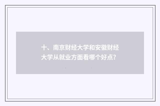 十、南京财经大学和安徽财经大学从就业方面看哪个好点?
