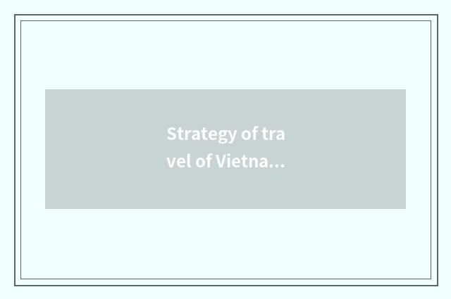 Strategy of travel of Vietnam travel male?