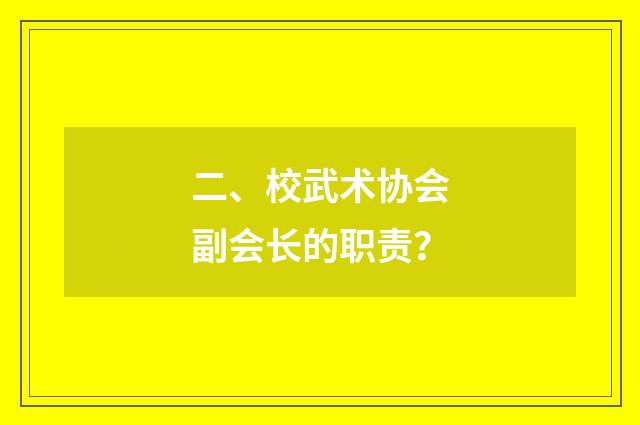 二、校武术协会副会长的职责?