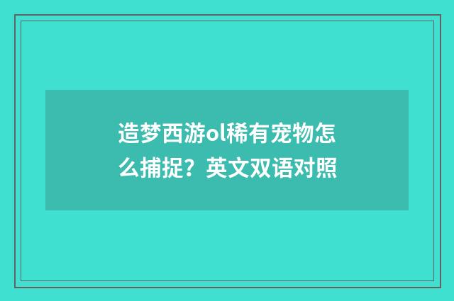 造梦西游ol稀有宠物怎么捕捉？英文双语对照