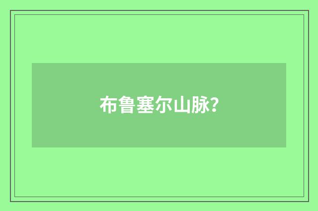 布鲁塞尔山脉?