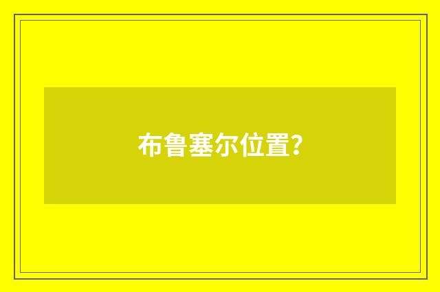布鲁塞尔位置？