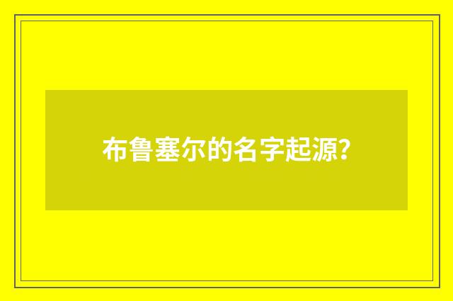 布鲁塞尔的名字起源？