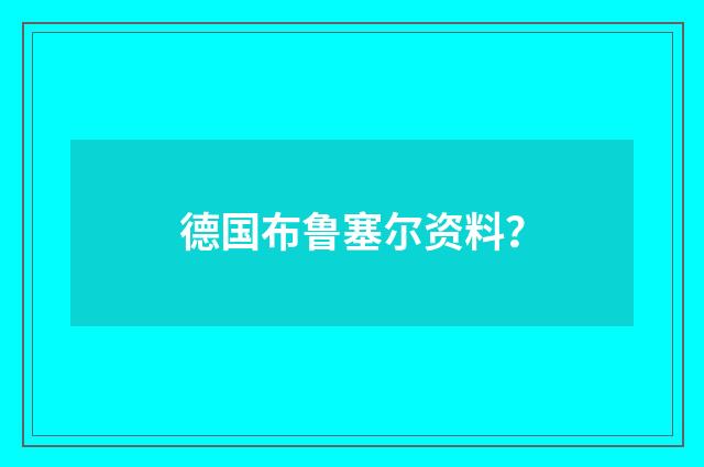 德国布鲁塞尔资料?