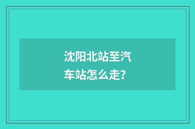 沈阳北站至汽车站怎么走？