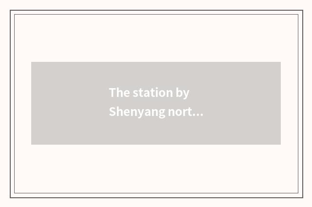 The station by Shenyang north station?