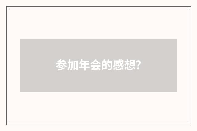 参加年会的感想?