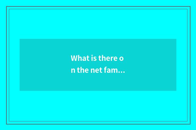 What is there on the net famous and secondhand car network?