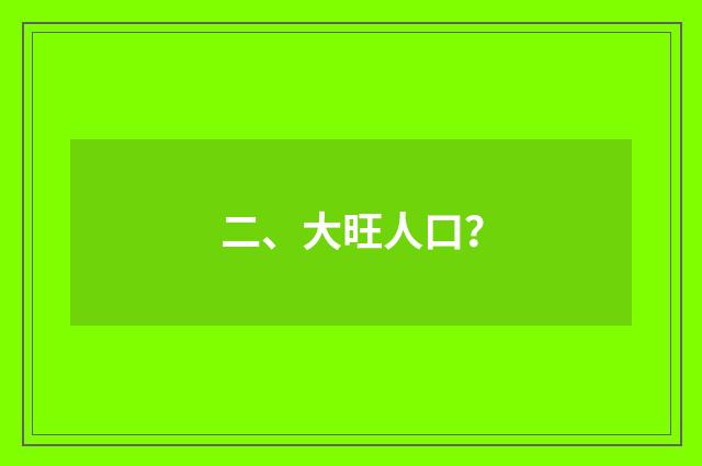 二、大旺人口?