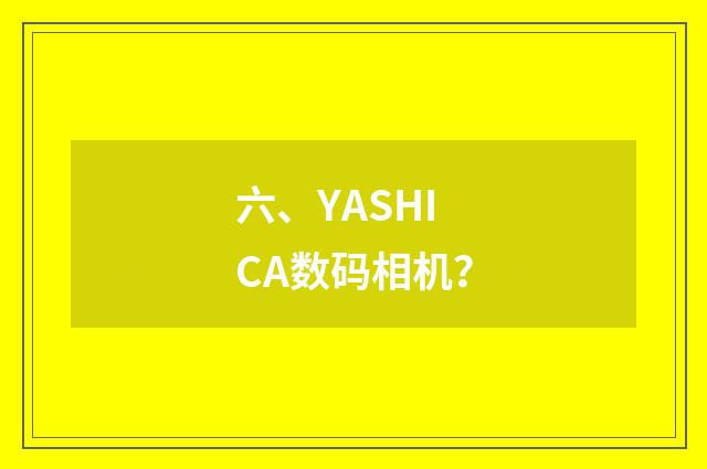 六、YASHICA数码相机?
