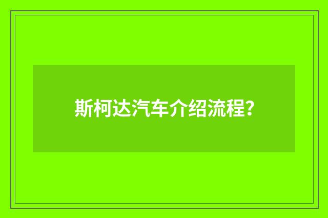 斯柯达汽车介绍流程?