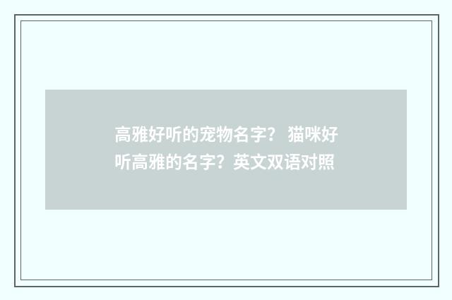 高雅好听的宠物名字? 猫咪好听高雅的名字?英文双语对照