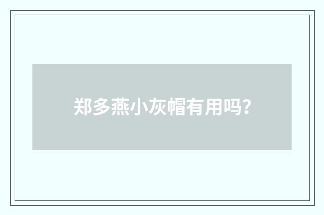 郑多燕小灰帽有用吗？