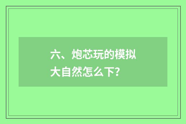 六、炮芯玩的模拟大自然怎么下？