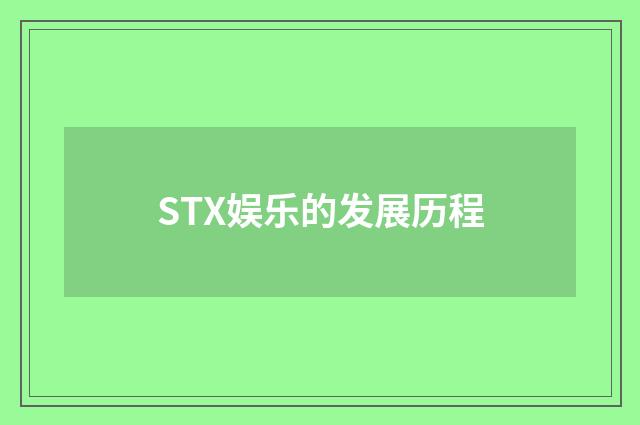 STX娱乐的发展历程