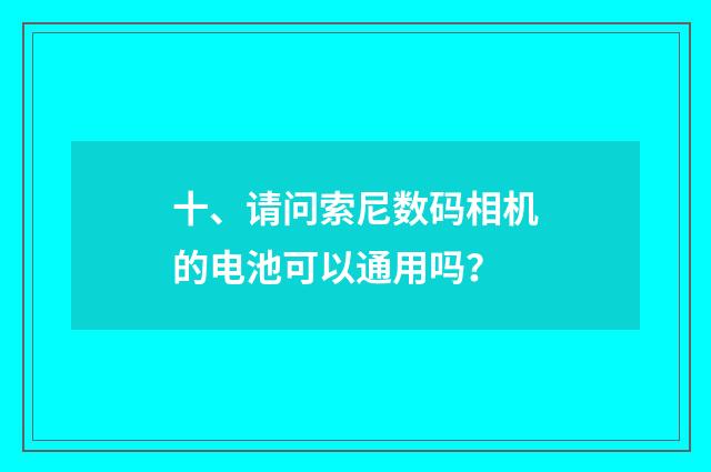 十、请问索尼数码相机的电池可以通用吗？