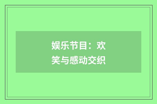 娱乐节目：欢笑与感动交织