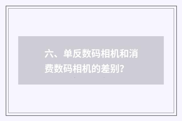 六、单反数码相机和消费数码相机的差别?