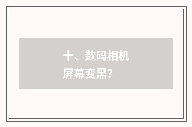 十、数码相机屏幕变黑?