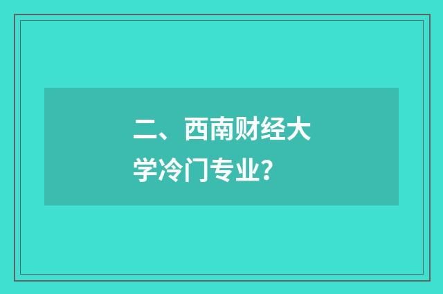 二、西南财经大学冷门专业？