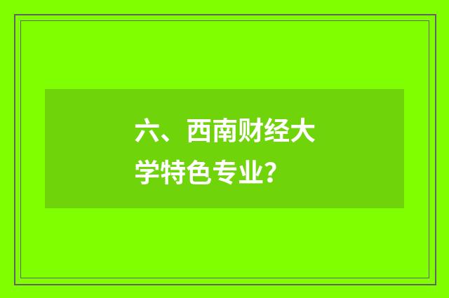 六、西南财经大学特色专业？