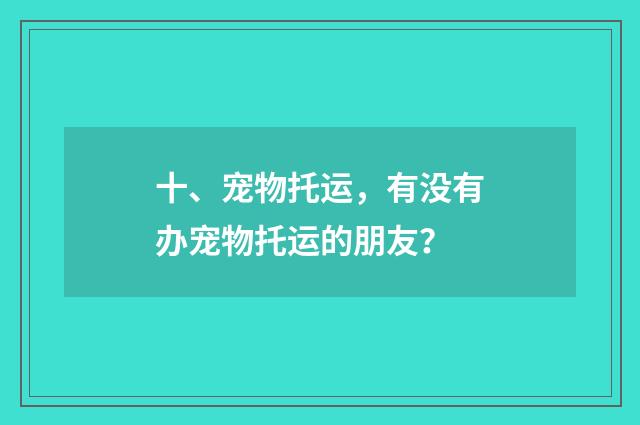 十、宠物托运，有没有办宠物托运的朋友？