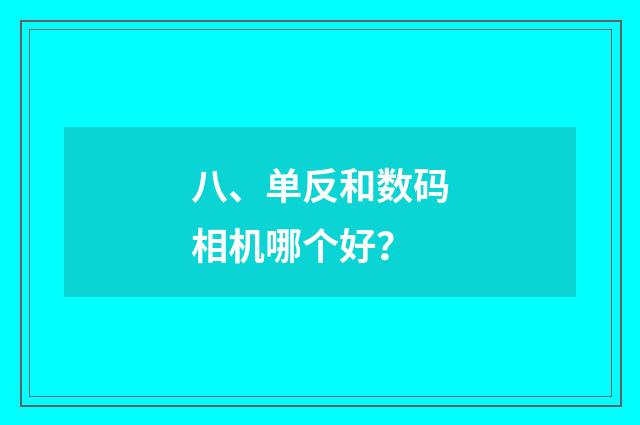 八、单反和数码相机哪个好?