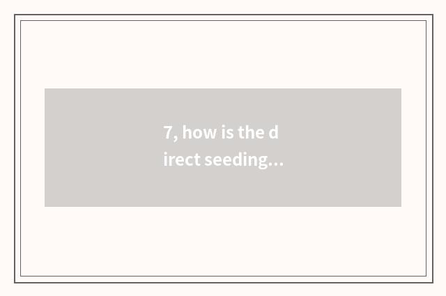 7, how is the direct seeding of finance and economics above direct seeding of to