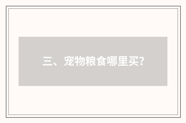 三、宠物粮食哪里买？