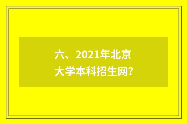 六、2021年北京大学本科招生网?