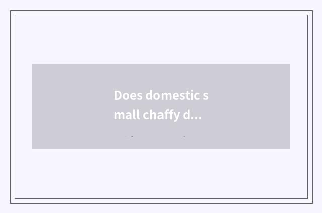 Does domestic small chaffy dish distribute food?