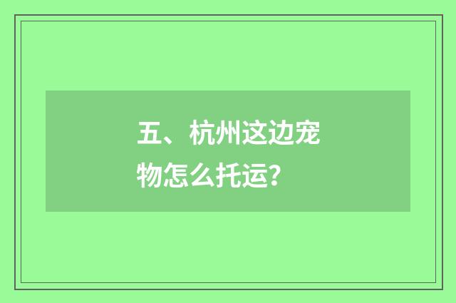 五、杭州这边宠物怎么托运？