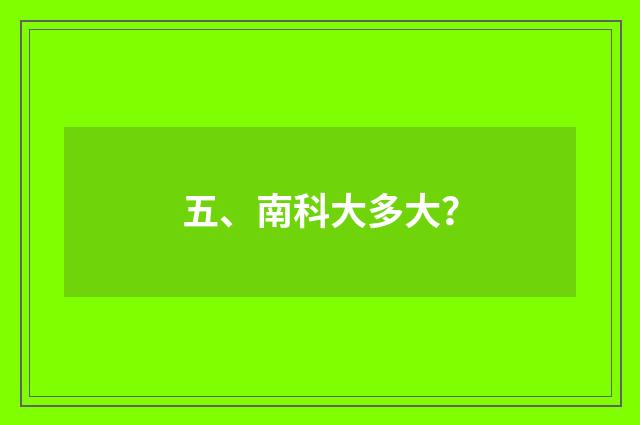 五、南科大多大?