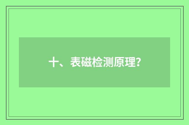 十、表磁检测原理？