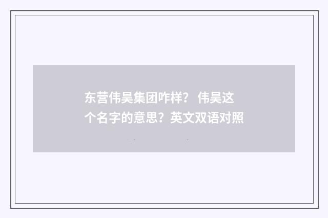 东营伟昊集团咋样？ 伟昊这个名字的意思？英文双语对照