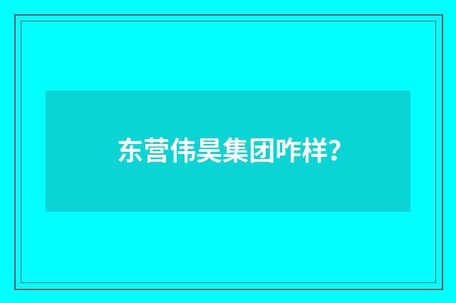 东营伟昊集团咋样?