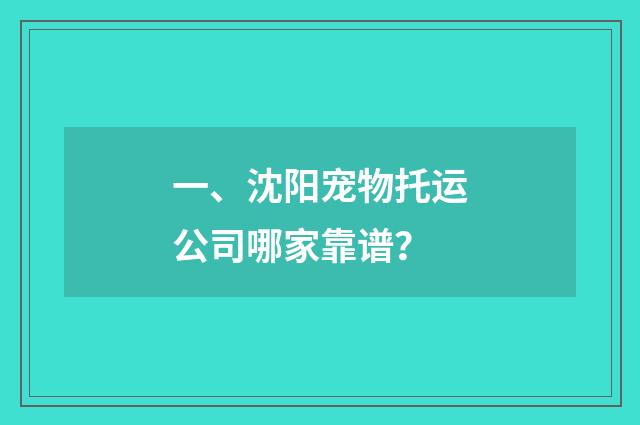 一、沈阳宠物托运公司哪家靠谱?