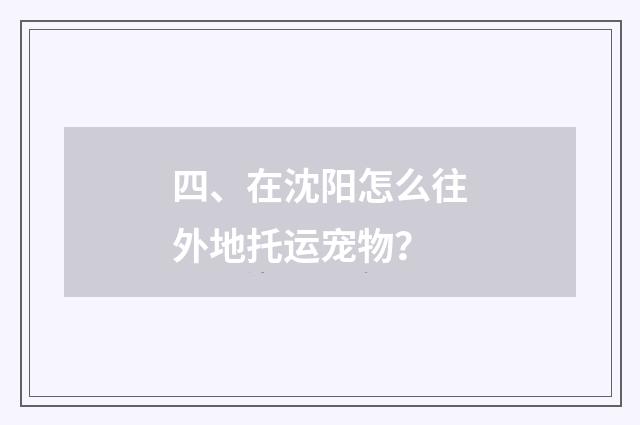四、在沈阳怎么往外地托运宠物？