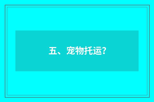 五、宠物托运?