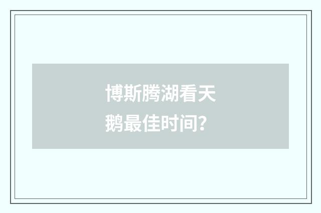 博斯腾湖看天鹅最佳时间？