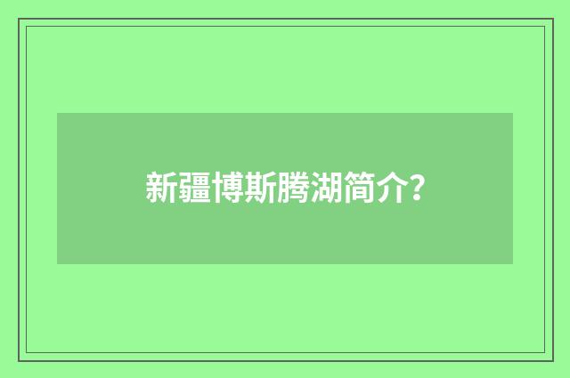 新疆博斯腾湖简介？