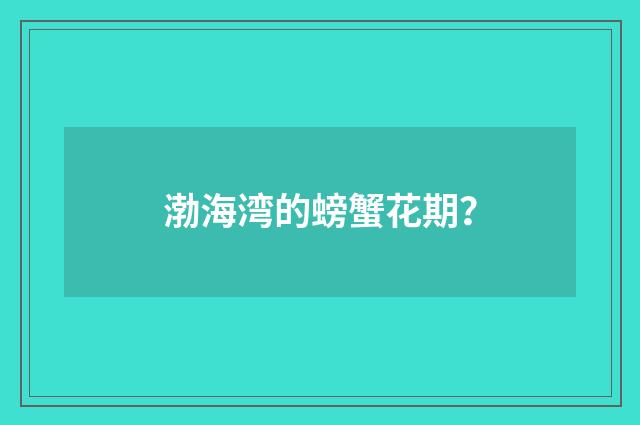 渤海湾的螃蟹花期？