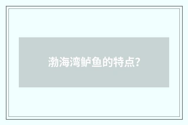 渤海湾鲈鱼的特点？