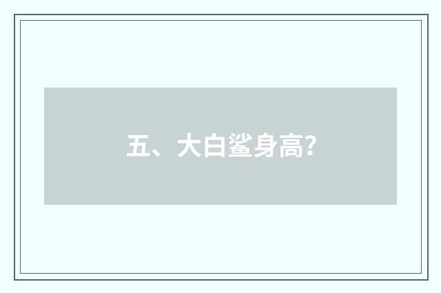 五、大白鲨身高？
