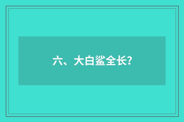 六、大白鲨全长？