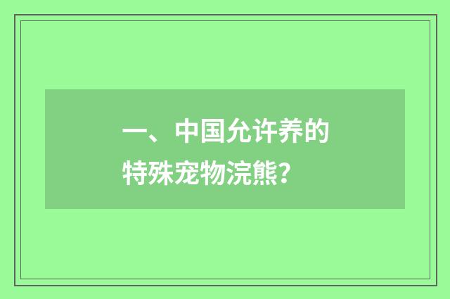 一、中国允许养的特殊宠物浣熊？