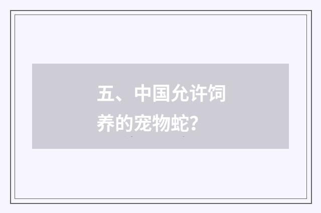 五、中国允许饲养的宠物蛇?
