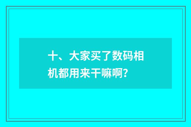 十、大家买了数码相机都用来干嘛啊?